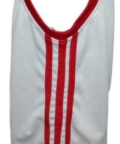 Arvydas Sabonis CCCP Russia Basketball Jersey White 3