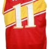 Ricky Rubio Team Spain Espana Basketball Jersey Red