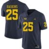 Michigan Wolverines #25 Hassan Haskins Jersey Navy College Football