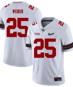 Ohio State Buckeyes #25 Mike Weber Football Jersey Diamond White