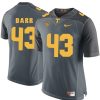 Tennessee Volunteers Matt Darr Jersey #43 Football NCAA Jerseys Gray