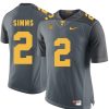 Tennessee Volunteers Matt Simms Jersey #2 Football NCAA Jerseys Gray