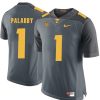 Tennessee Volunteers Michael Palardy Jersey #1 Football NCAA Jerseys Gray