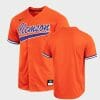 Clemson Tigers Custom Name Number Orange College Baseball Jersey