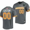 Custom Tennessee Volunteers Jersey Name and Number 2023 NCAA Baseball College World Series Gray 00 OMAHA 8