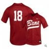 Drew Williamson Jersey Alabama Crimson Tide Baseball NCAA College Alumni Red 18