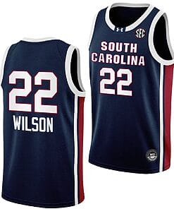 Aja Wilson Jersey #22 South Carolina Gamecocks College Basketball 2023-24 Away Black