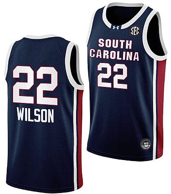 Aja Wilson Jersey #22 South Carolina Gamecocks College Basketball 2023-24 Away Black