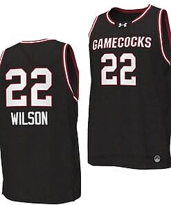 Aja Wilson Jersey #22 South Carolina Gamecocks College Basketball 2023-24 Replica Black