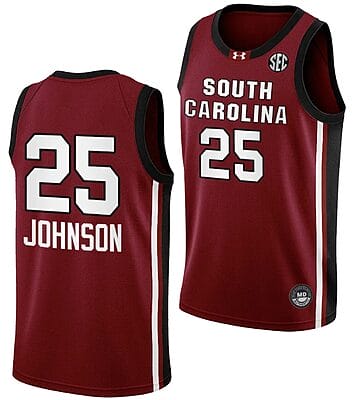 Raven Johnson Jersey #25 South Carolina Gamecocks College Basketball 2023-24 Garnet