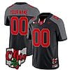Custom Ohio State Buckeyes Jersey Name and Number College Football 2023 Stitched Alternate Black Special