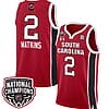 Ashlyn Watkins Jersey #2 South Carolina Gamecocks Basketball 2024 National Champions All Stitched Red