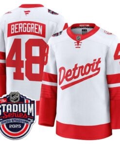 17407286625ae253c00e