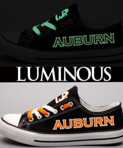 Auburn Tigers