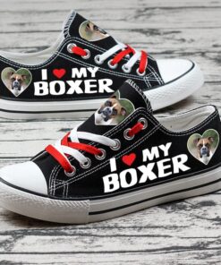 Boxer Dog