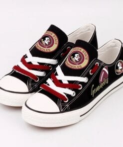 Florida State Seminoles 3