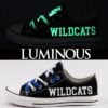 Kentucky Wildcats 1