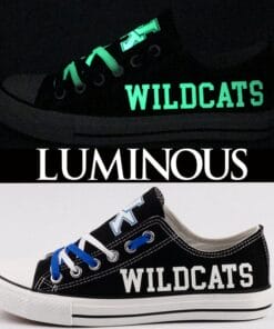 Kentucky Wildcats Sport Sneakers Shoes For Men Women Fans