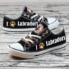 Labrador Retriever 1