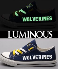 Michigan Wolverines 2