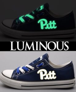 Pittsburgh Panthers Sport Sneakers Shoes For Men Women Fans