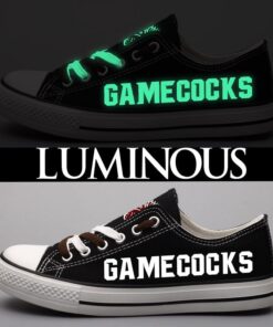 South Carolina Gamecocks 2