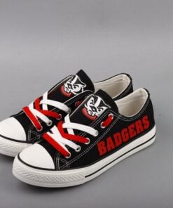 Wisconsin Badgers 3