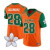 Willie Galimore Jersey #28 Florida A&M Rattlers Vapor Limited Stitched - Top Design Fan Willie Galimore Jersey #28 Florida A&M Rattlers Vapor Limited Stitched